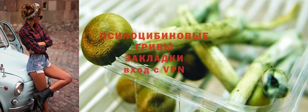 spice Абаза