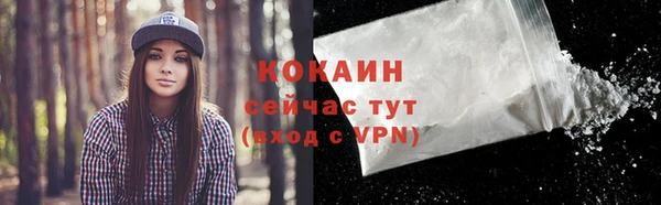 spice Абаза