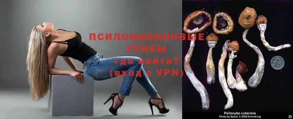 синтетический гашиш Гусиноозёрск
