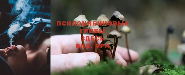спайс Абинск