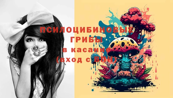 спайс Абинск