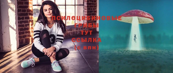 spice Абаза